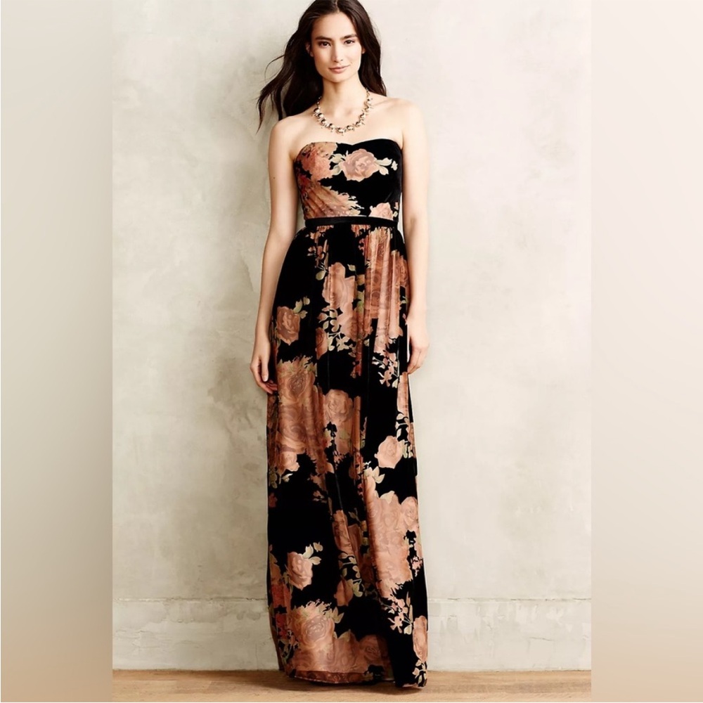 Anthropologie Erin by Erin Fetherston Velvet Maxi Dress